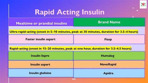 How Fast Does Fast Acting Insulin Work