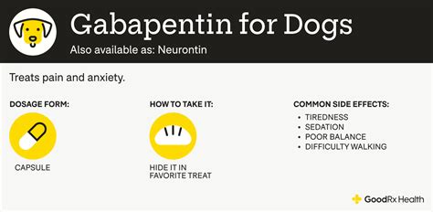 How Fast Does Gabapentin Work In Dogs