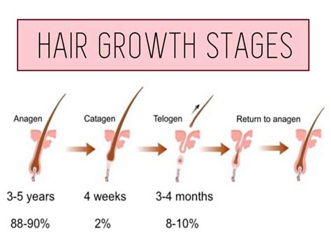 How Fast Does Head Hair Grow