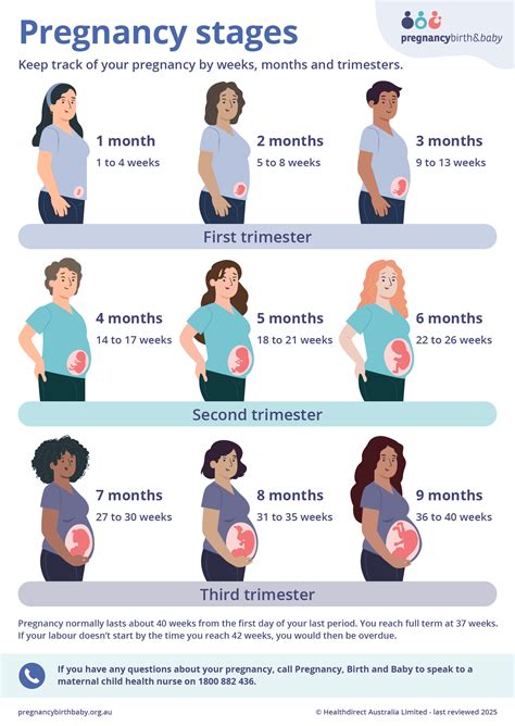 How Long Ago Is 20 Weeks