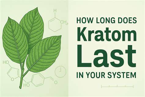 How Long Does Kratom Last