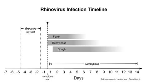 How Long Does Rhinovirus Last