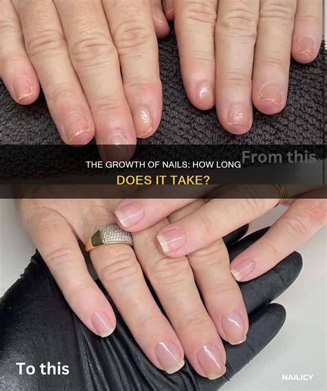 How Long Does Take Nails To Grow