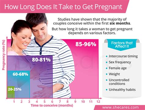 How Long Does Take To Get Pregnant