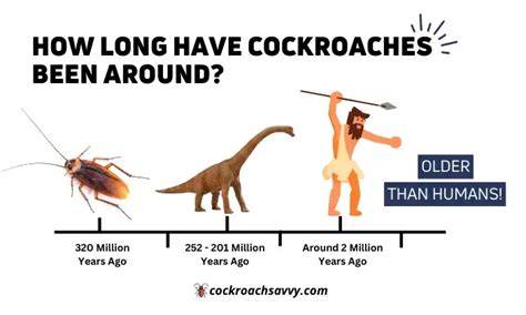How Long Have Roaches Been Around
