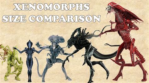 How Long Have Xenomorphs Existed