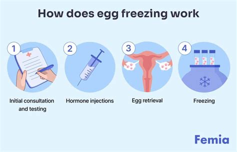 How Long To Freeze Eggs Fertility