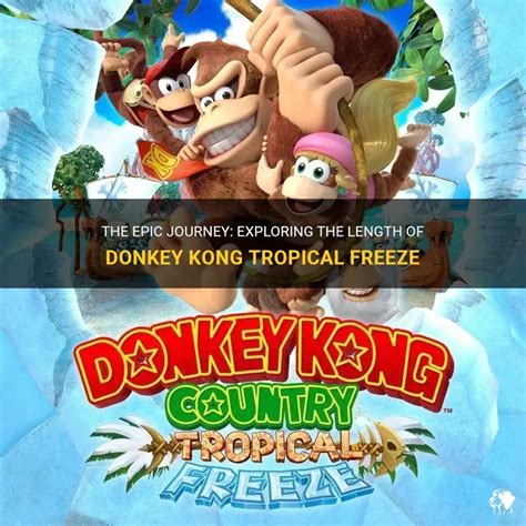 How Long To Freeze Kong