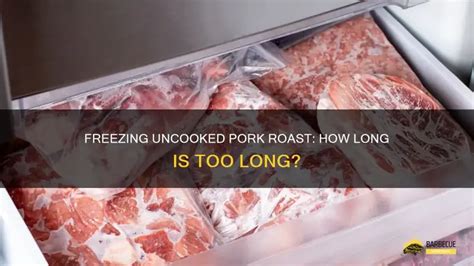 How Long To Freeze Pork