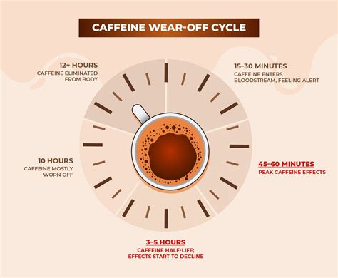 How Long Until Caffeine Wears Off