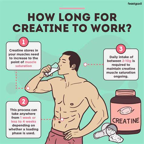 How Long Until Creatine Takes Effect