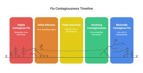 How Long Until Flu Is Not Contagious
