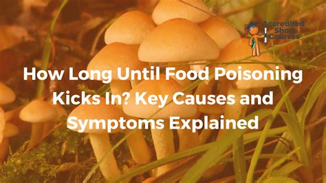How Long Until Food Poisoning Kicks In