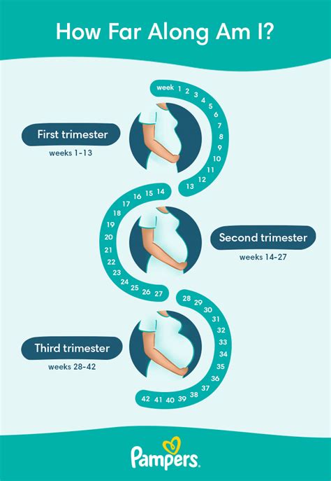 How Long Until You Know Your Pregnant