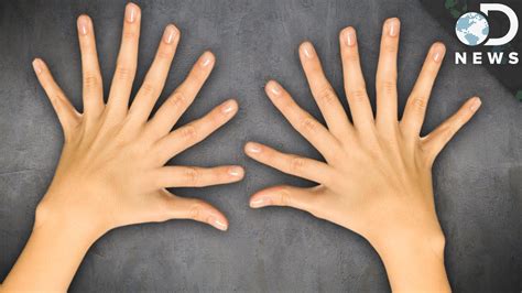 How Many Fingers On One Hand