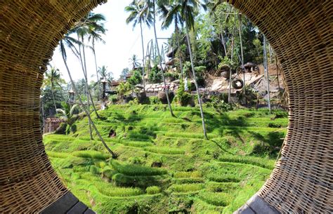 How Many Season In Indonesia