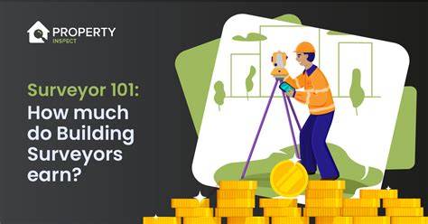 How Much Do Surveyors Make