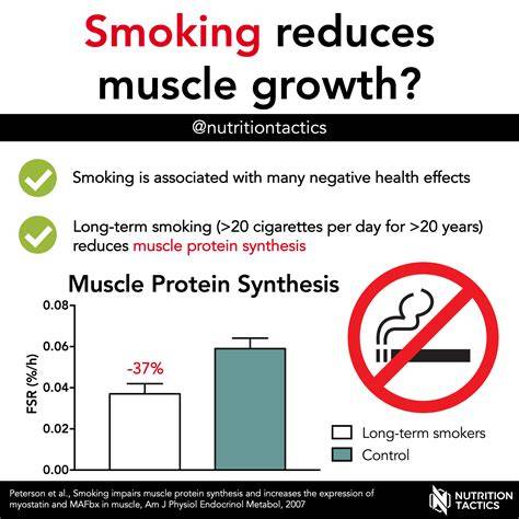 How Much Does Smoking Affect Muscle Growth