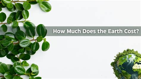 How Much Does The Earth Cost