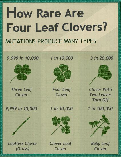 How Rare Is Four Leaf Clover