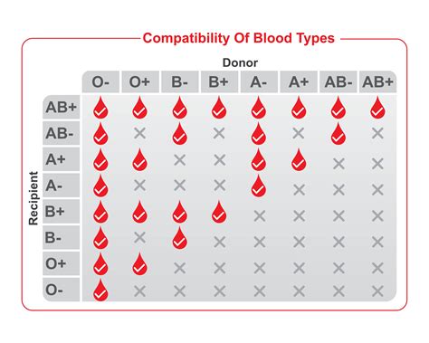 How Rare Is O Blood