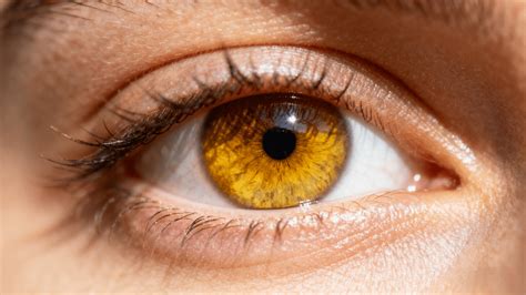 How Rare Is Yellow Eyes
