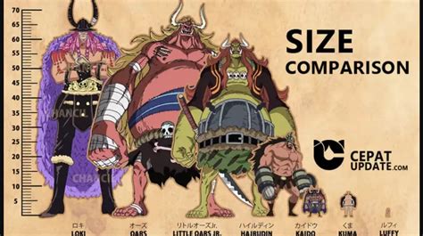 How Tall Is Loki One Piece