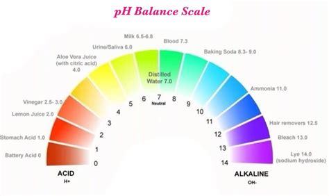 How To Balance Your Ph