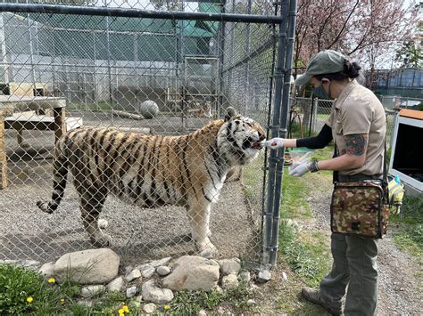 How To Become A Zookeeper