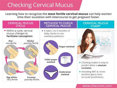 How To Check Cervical Mucus