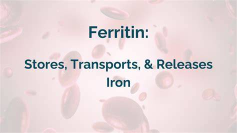 How To Raise Ferritin
