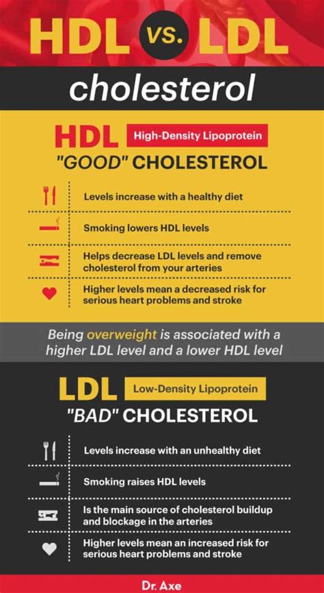 How To Raise Your Hdl