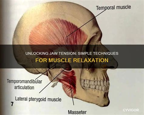 How To Release Jaw Tension