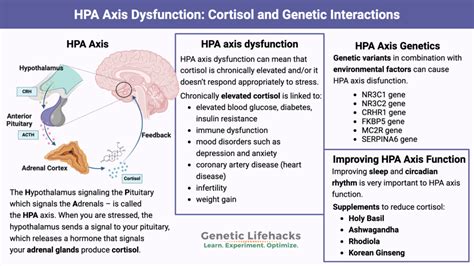 Hpa Axis Dysfunction