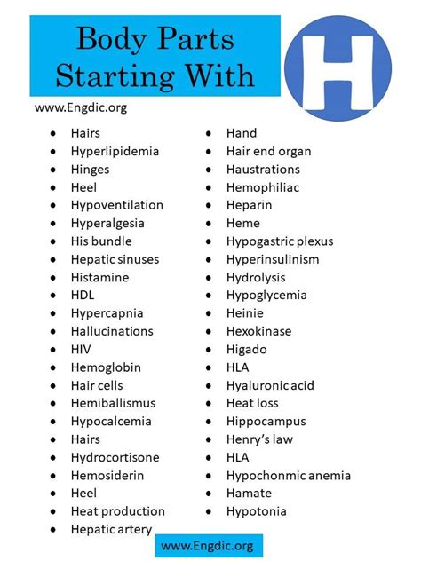 Human Body By Part Starting With H