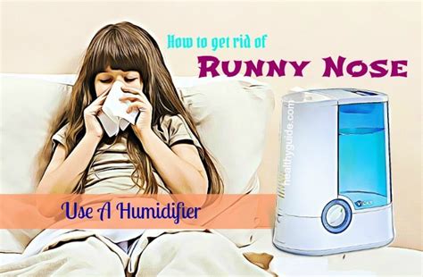 Humidifier For Runny Nose