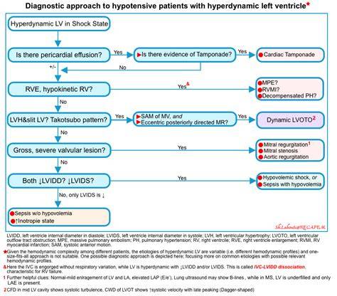 Hyperdynamic Left Ventricle