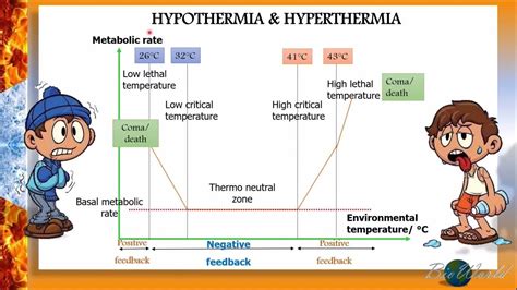 Hypothermia Vs Hyperthermia