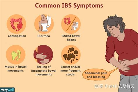 Ibs In Spanish