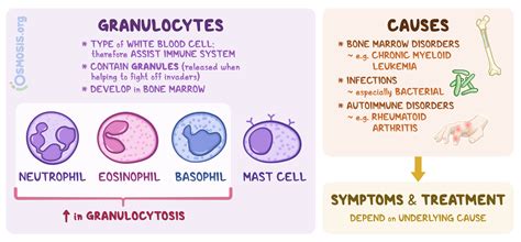 Imm Granulocyte Abs High