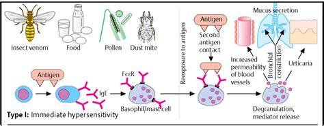 Immediate Hypersensitivity Reaction