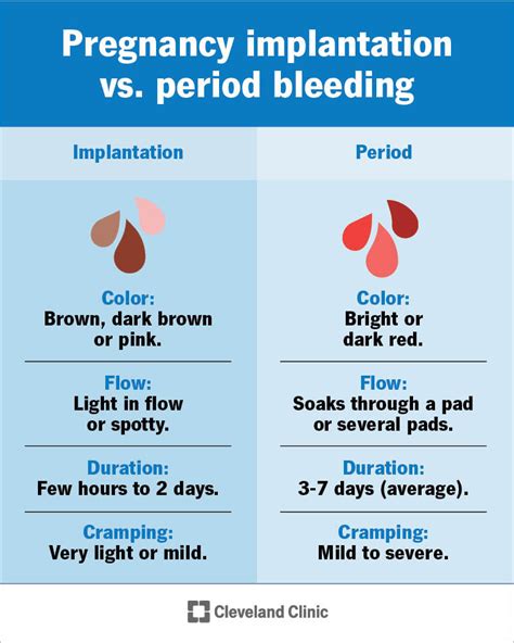 Implantation Bleeding Pictures