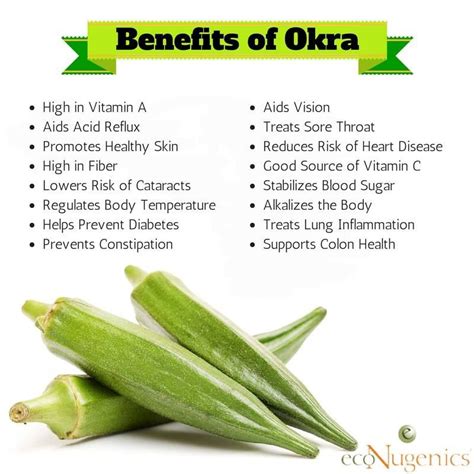 Importance Of Okra