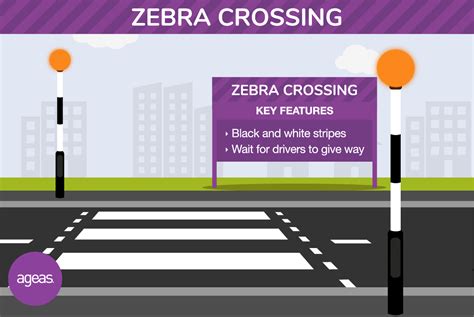 Importance Of Zebra Crossing