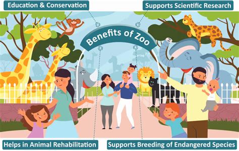 Importance Of Zoo