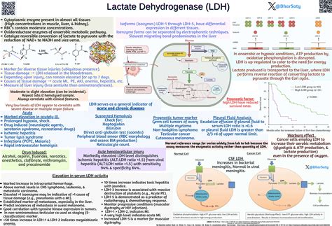 Increase In Ldh