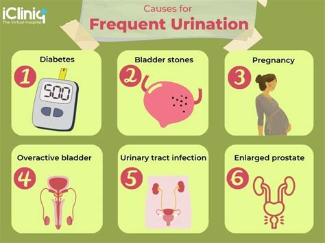 Increased Urination In Men