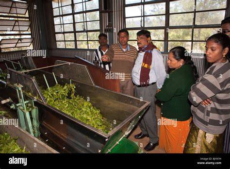 Industries In Ooty