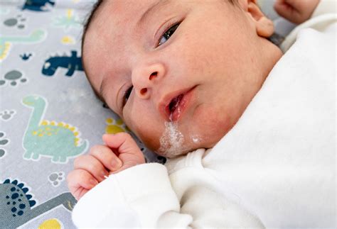 Infant Spit Up