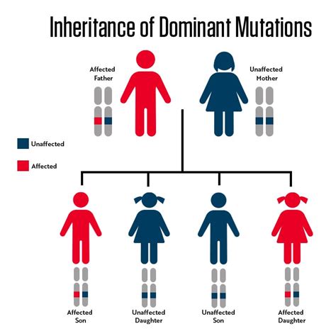 Is Als Genetic